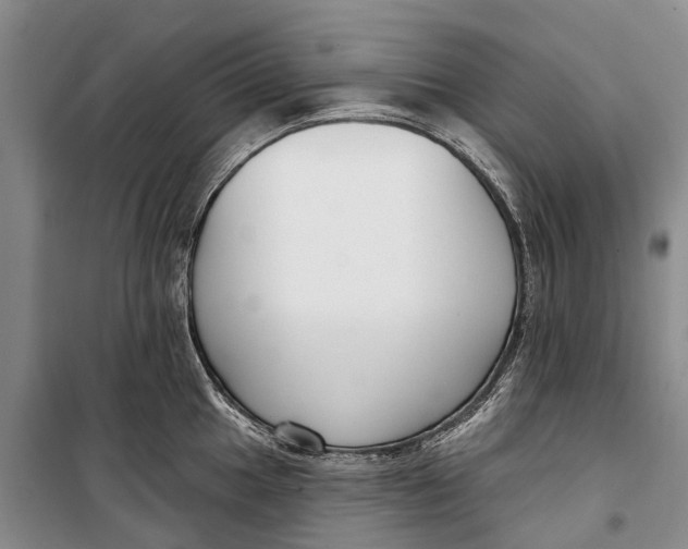 X0000098211049200805151248