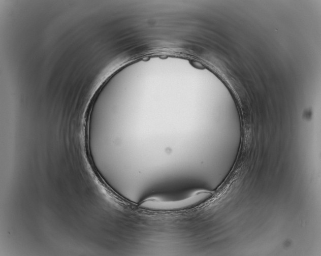 X0000098211050200805151248