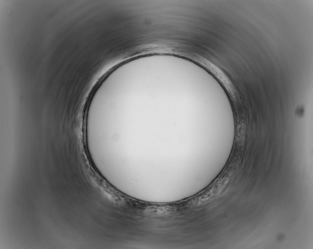 X0000098211051200805151248