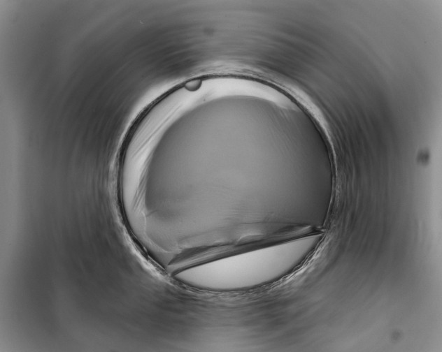 X0000098211053200805151248