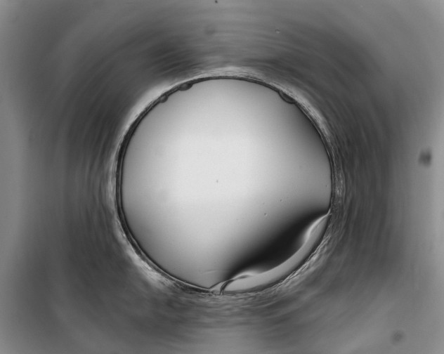 X0000098211054200805151248