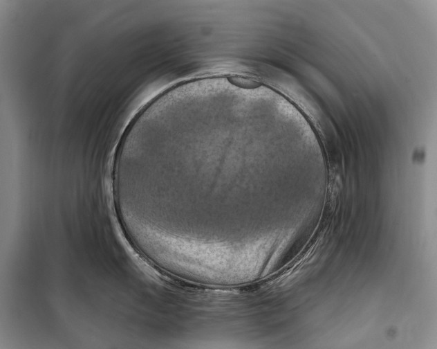 X0000098211055200805151248