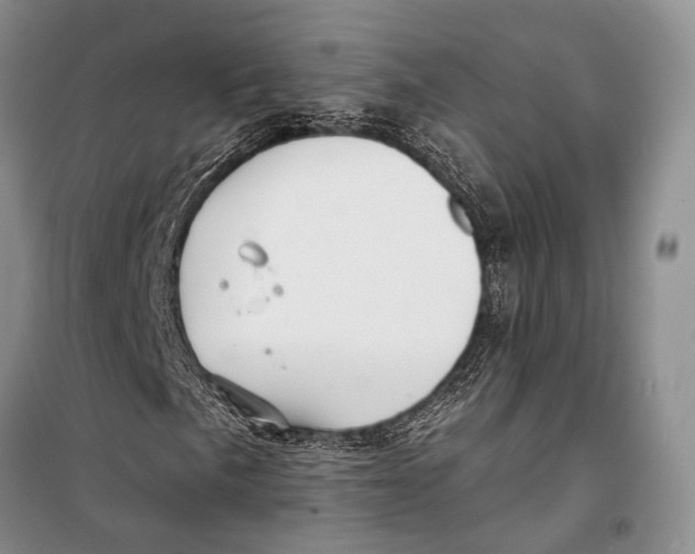 X0000098211057200805151247