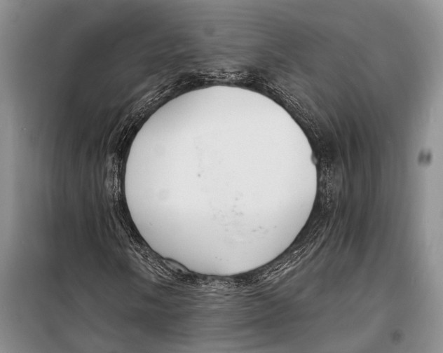 X0000098211058200805151247