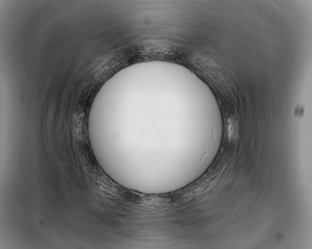 X0000098211059200805151247