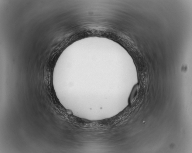 X0000098211061200805151247