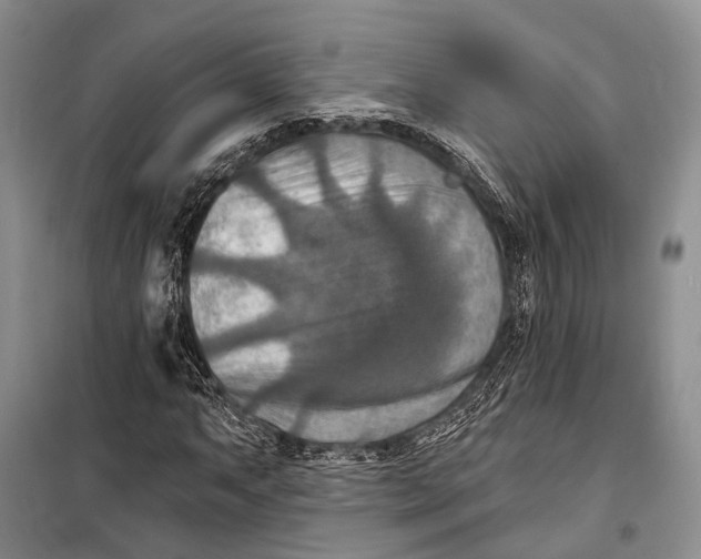 X0000098211063200805151247
