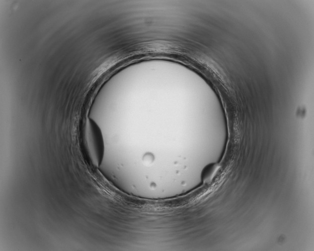 X0000098211065200805151247