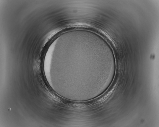 X0000098211066200805151247