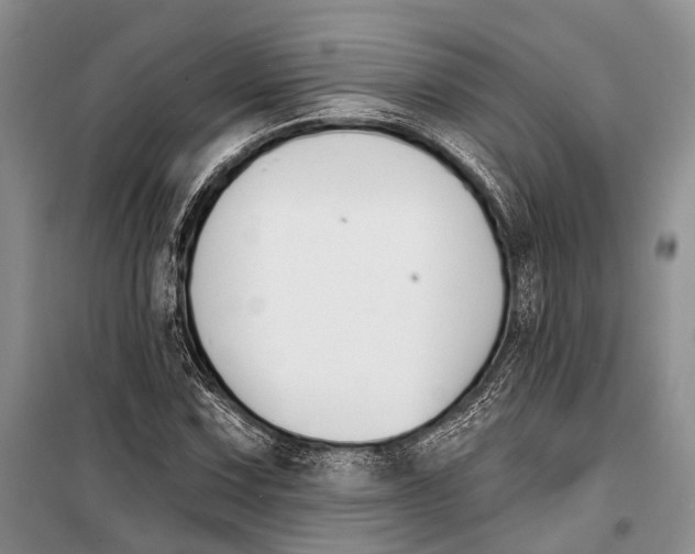 X0000098211067200805151247