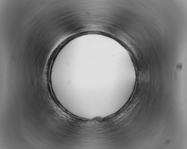 X0000098211068200805151247