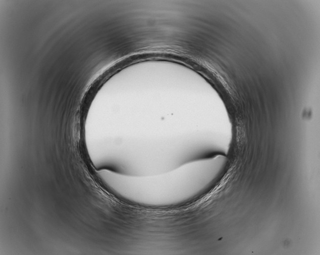 X0000098211069200805151247