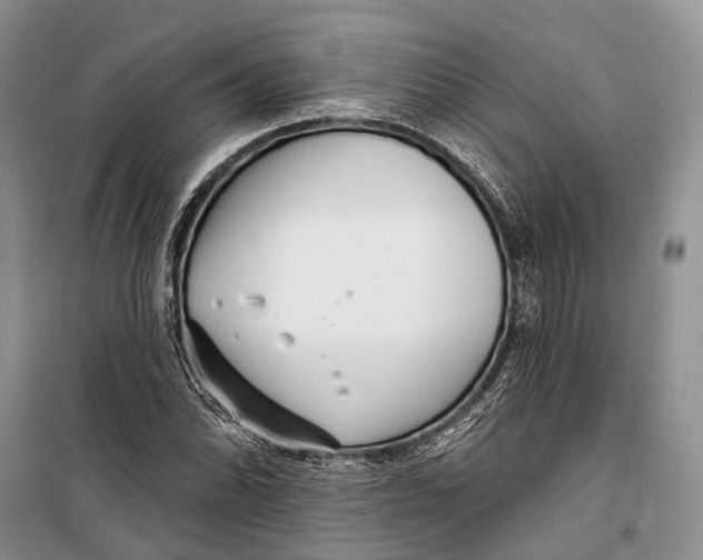 X0000098211070200805151247