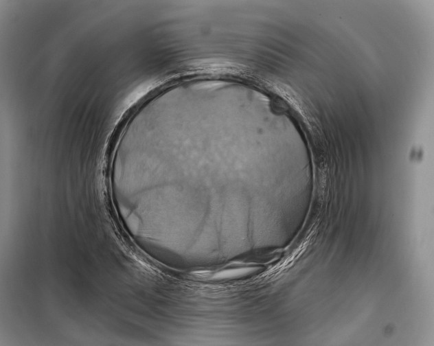 X0000098211071200805151247