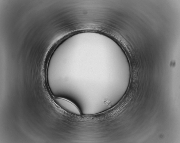 X0000098211072200805151247