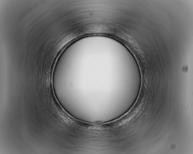 X0000098211073200805151247