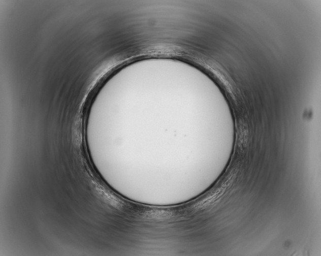 X0000098211075200805151247