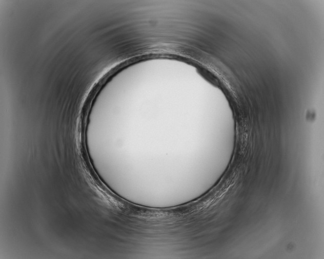 X0000098211076200805151247