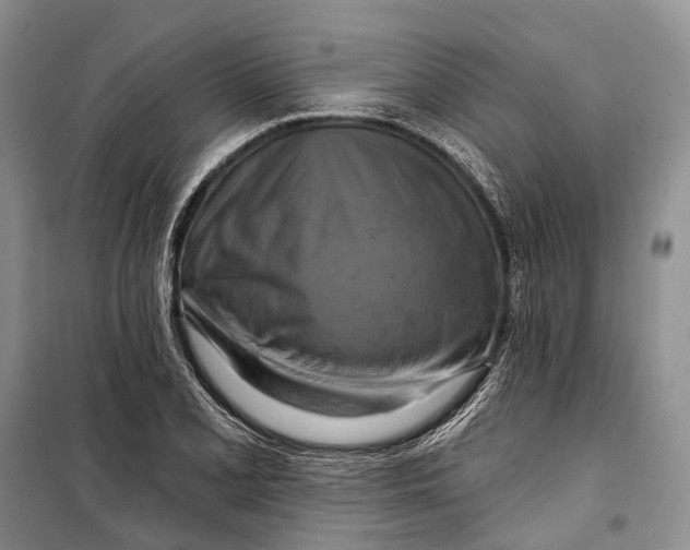 X0000098211077200805151247