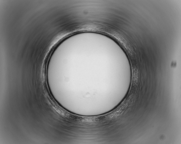 X0000098211078200805151247