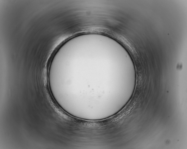 X0000098211079200805151247