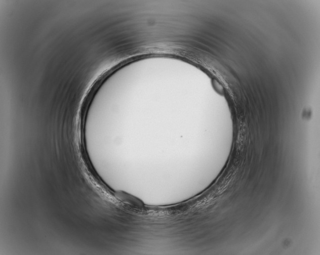 X0000098211080200805151247