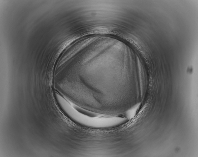 X0000098211081200805151247
