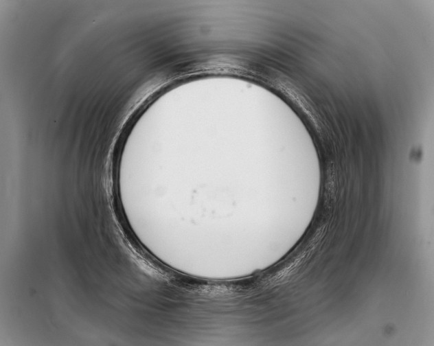 X0000098211082200805151247