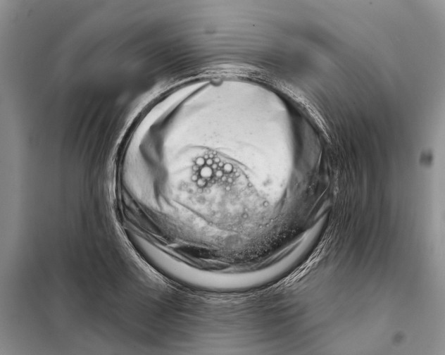 X0000098211083200805151247