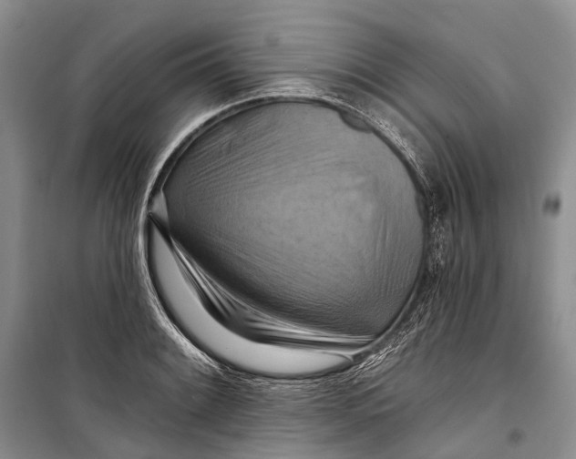 X0000098211084200805151247
