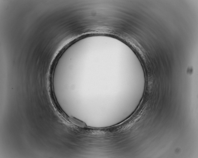 X0000098211085200805151247
