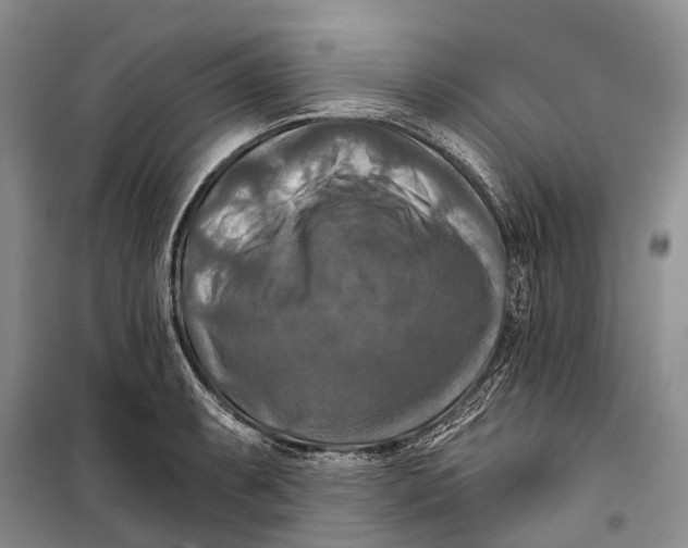 X0000098211087200805151246