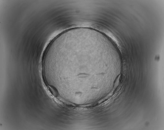 X0000098211088200805151246
