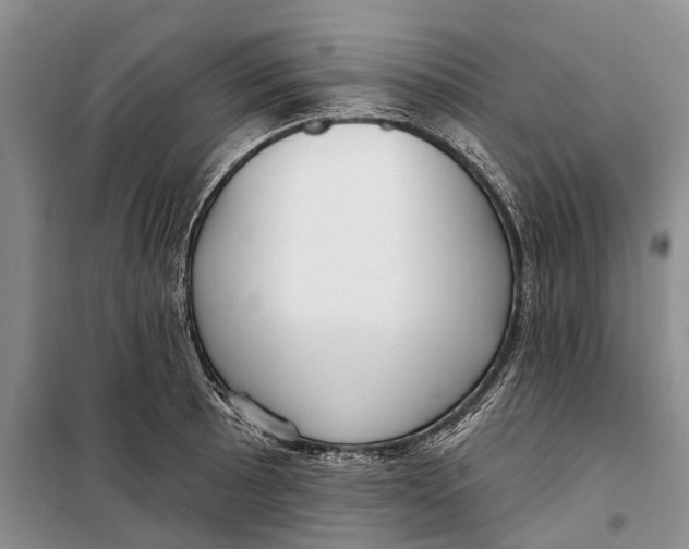 X0000098211089200805151246