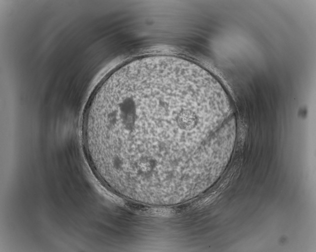 X0000098211090200805151246
