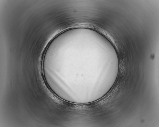 X0000098211091200805151246