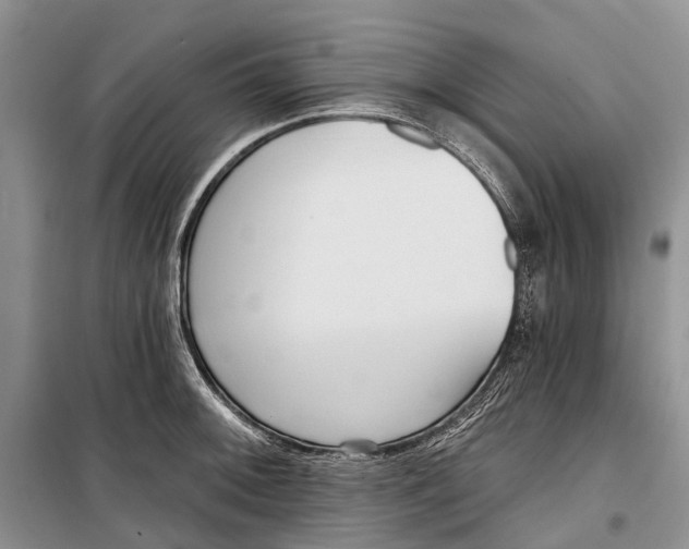 X0000098211092200805151246