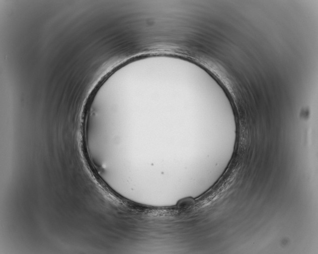 X0000098211093200805151246