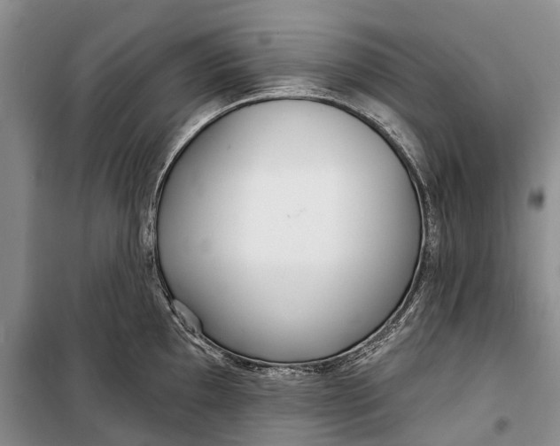 X0000098211097200805151246