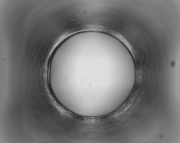 X0000098211099200805151246