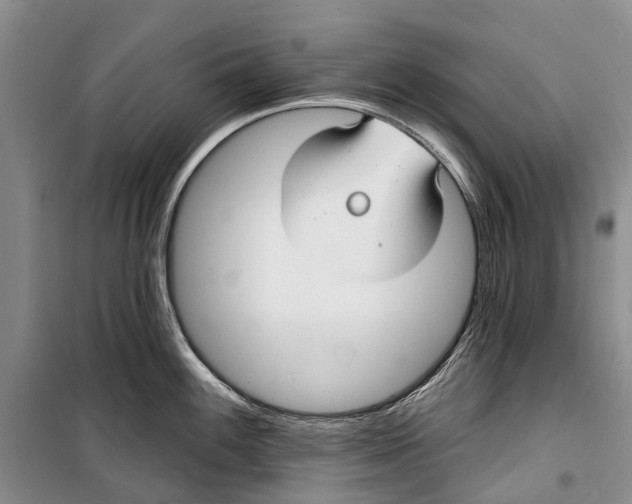 X0000098211100200805151246