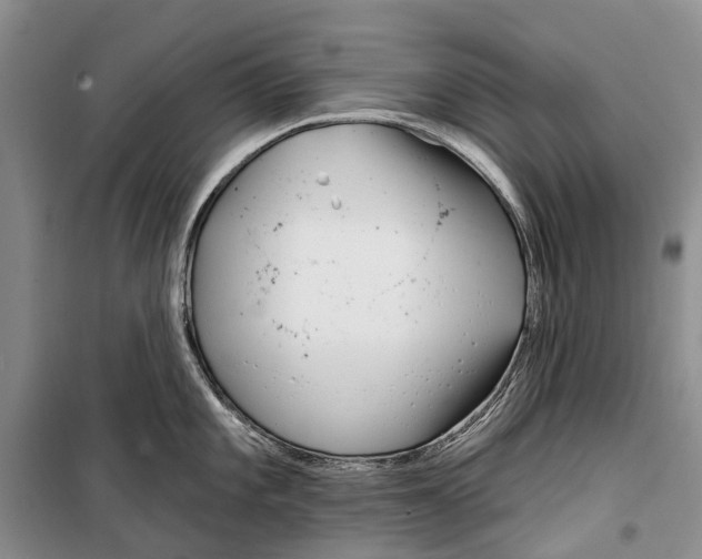 X0000098211101200805151246