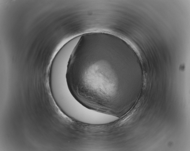X0000098211102200805151246