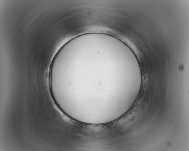 X0000098211103200805151246