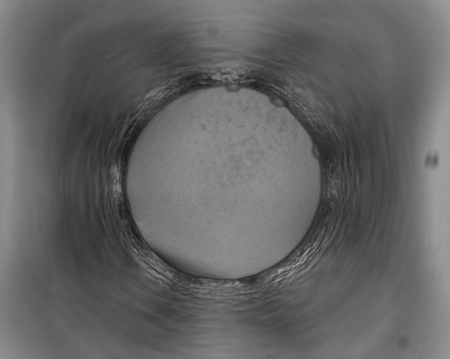 X0000098211106200805151246