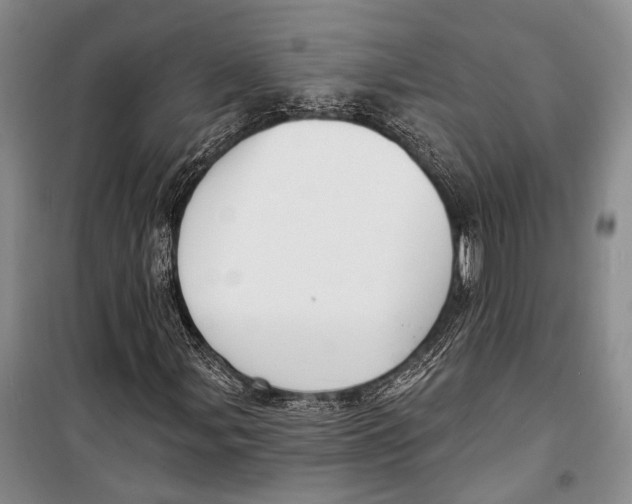 X0000098211107200805151246