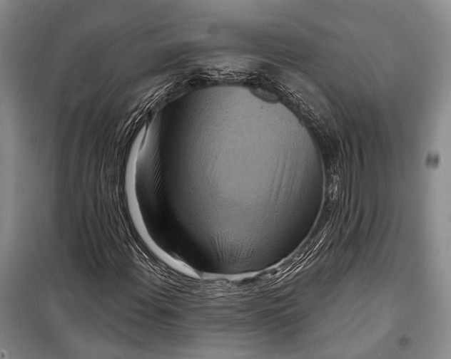 X0000098211108200805151246