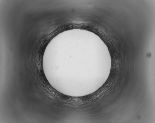 X0000098211109200805151246