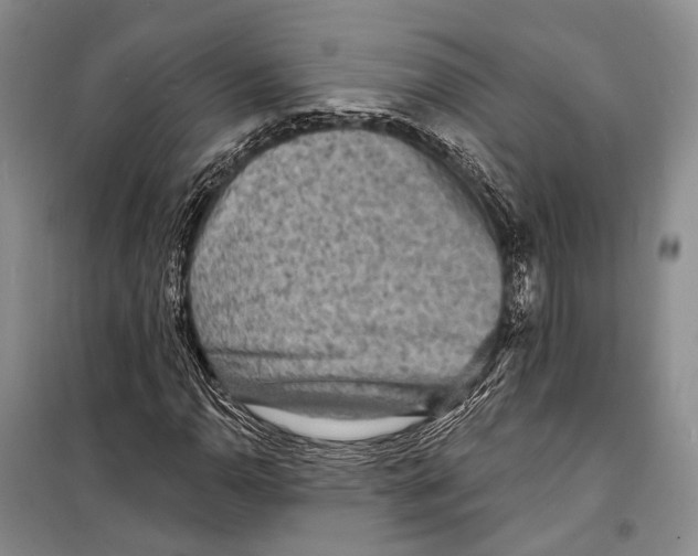 X0000098211110200805151246