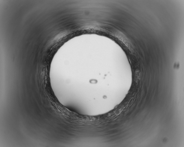 X0000098211111200805151246